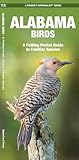 Alabama Birds: A Folding Pocket Guide to Familiar Species (Pocket Naturalist Guide Series)