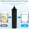 Water Filters Replacement for Berkey, 2 Pack Black Purification Elements for BB9-2 Gravity Filtration System