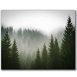 VETEB Paint by Numbers Kit for Adults Beginner Picture Spruce Forest Cold Foggy Day DIY Framed Painting on Canvas by Numbers Acrylic Oil Painting Home Decor Gifts 16"x20"