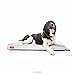 Brindle Soft Shredded Memory Foam Dog Bed with Removable Washable Cover - 46in x 28in - Stone