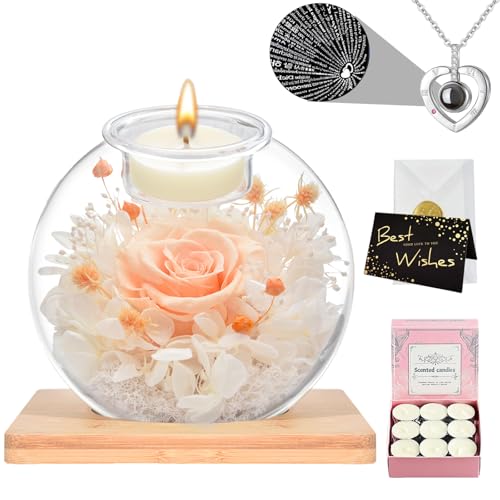 BOIKGOIK Preserved Flower-Eternal Real Champagne Rose Mothers Day gift set for Women, Forever Flowers in Glass for Delivery Prime, Unique Gift on Birthday Anniversary Valentines Day(Champagne)