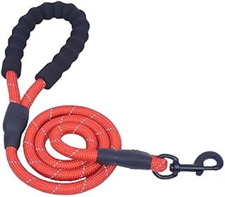 Alluring Pet Friends Fur Ever Strong Dog Leash with Comfortable Padded Handle, Reflective Threads Dog Leashes for Medium and Large Dogs 5 FT Long (Red)