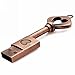 Aneew 16GB 2.0 Pendrive Vintage Metal Copper Heart Key Model USB Flash Drive Memory Stick U Disk Thumb Gift