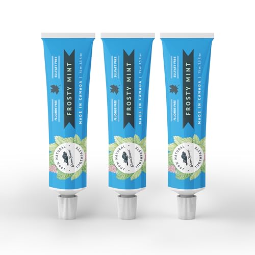 Dentifrice à la menthe givrée sans fluorure Green Beaver lot de 3 hygiène dentaire