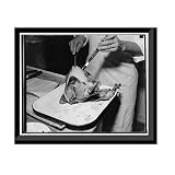 Snapshots of the Past Correct way to bake turkey. Then to a carving table