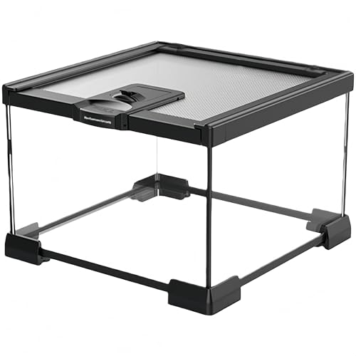 ঒��� �P�[�W ���^ �K���X�� �g�J�Q �J�� �J�G�� �w�r �n���X�^�[ ����P�[�X �e�����E�� �������� �u���b�N�t���[�� ���� �ʋC�� �ώ@���₷�� ����e�� (����,20*20*15cm)