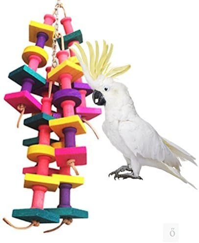 Keersi Natural Wood Bird Chew Toy for Medium Large Parrot Conure Macaw African Grey Amazon Cockatoo Amazon Budgies Parakeet Cockatiel…
