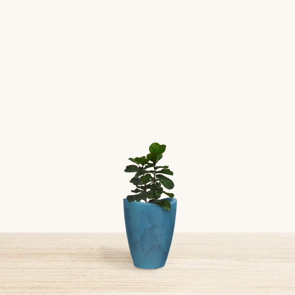 12.6" Tall Planter | Eco-Friendly, Durable, Lightweight | Indoor/Outdoor Use, All-Weather, Contemporary Design by Brazilian Artisans - Blue