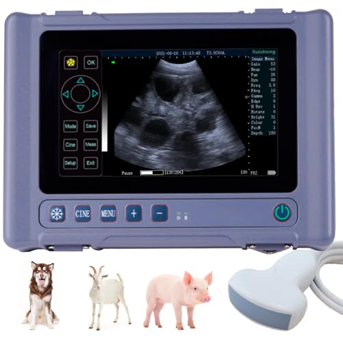 RUISHENG T1 Portable Vet Ultrasound