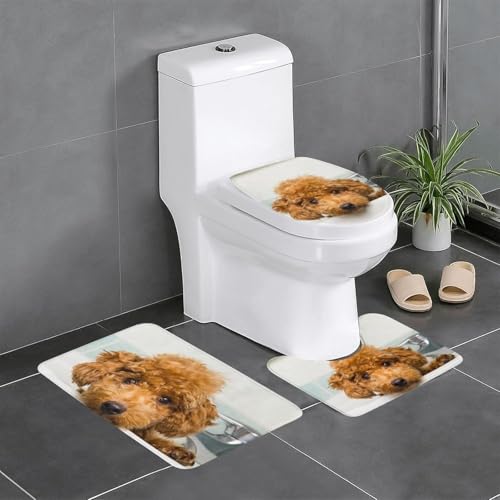 gC 3_ t^Jo[ v[h q   K C  唻 ӂ ~ zD CBEW120