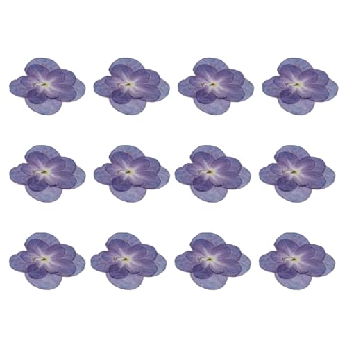 Nishiyuenyi 12 Stück Hortensien Trockenblumen, Getrocknete Hortensienblüten, Echte Gepresste Trockenblumen für Schönheitsfotografie, Handgemachte Seife, DIY Handw