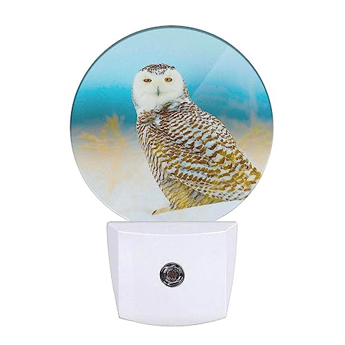 Image of Snowy Owl Night Lights Plug into Wall Bird in Wild LED Dusk to Dawn Plug-in Nightlight Auto Sensor for Bedroom Bathroom Hallway Living Room