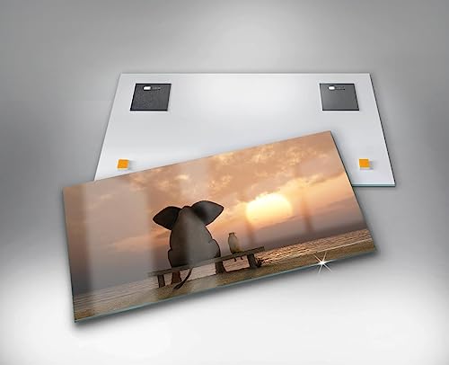 Peinture sur verre contre les murs vides tableau animaux Wallfluent