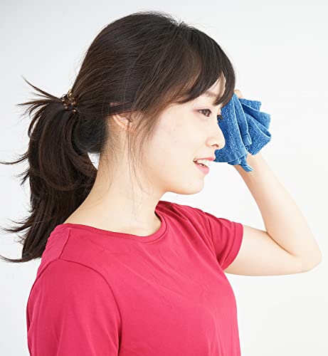 Utopia Towels [12 Pack Premium Wash Cloths Set (12 X 12 Inches) 100% Cotton Ring Spun, Highly Absorbent And Soft Feel Essential Washcloths For Bathroom, Spa, Gym, And Face Towel (Electric Blue) #TOP2