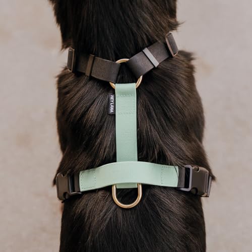 Hey Lana Hundegeschirr Handmade, 5-Fach verstellbar & wasserfest, Made in Germany, kleine bis sehr große Hunde, Führgeschirr Brustgeschirr Führungsgeschirr Training (M, schwarz/Mint)