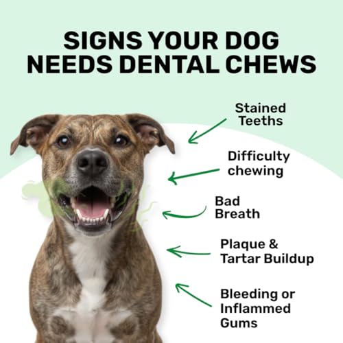 Image of Absolut Pet Dog Supplement for Oral Care, Dental Chews for Dogs that Reduces Plaque & Tartar | Freshens Breath & Supports Gum Health (30 Chews)