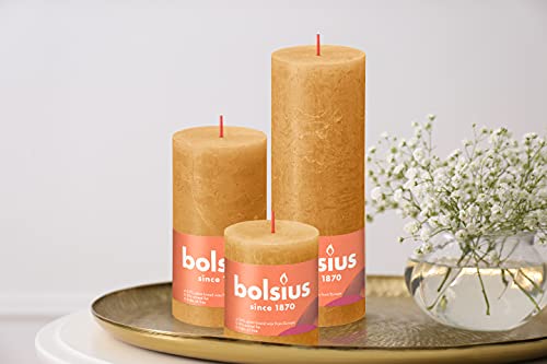 https://m.media-amazon.com/images/I/413Q61dmysL.jpg