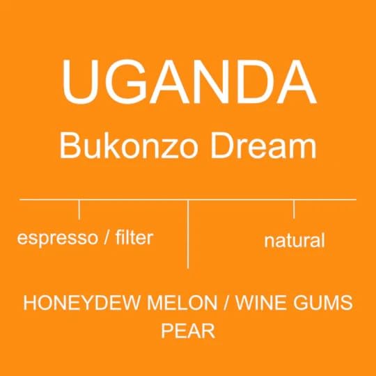 Antsti Fuel Uganda Bukonzo Dream Café en Grano 1 lb miniatura 3
