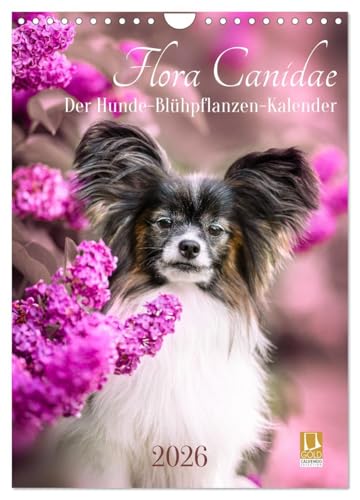 Flora Canidae - der Hunde-Blühpflanzen-Kalender (Wandkalender 2026 DIN A4 hoch), CALVENDO Monatskalender: Hunde und blühende Pflanzen streicheln die Seel, sie machen glücklich! (CALVENDO Tiere)