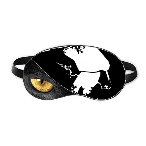 ubNXL[~̃X|[c̃CXg xݖڂ̎Ռe