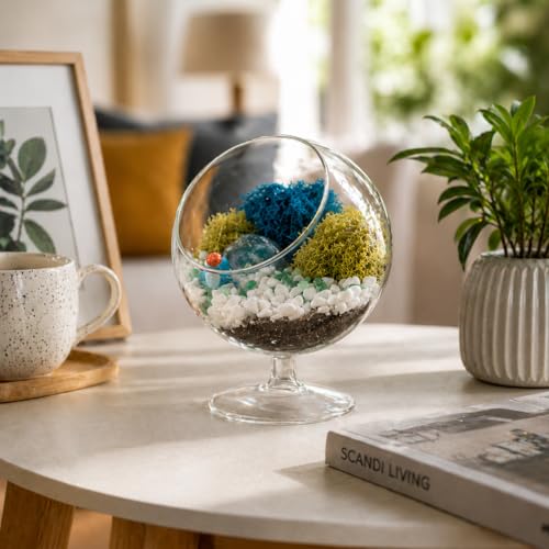 STMT DIY Crystal Terrarium Kit - Creative Project