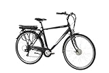F.lli Schiano E-Moon, E Bike für die Stadt 28 Zoll, 36V 13Ah Abnehmbarer Akku, Motor 250W 40Nm, City Ebike für Herren, Schwarz