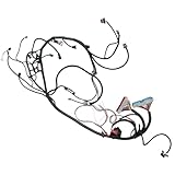 Aspaton LS Standalone Wiring Harness with 4L80E DBC Strap Compatible with LS1 Vortec 4.8L 5.3L 6.0L 1997-2006 Driven by Cable Independent Harness