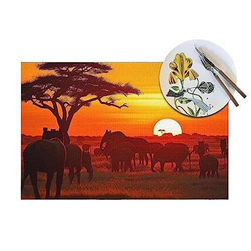 Sets de table en vinyle antidérapant résistant chaleur 30x45cm motif coucher de soleil
