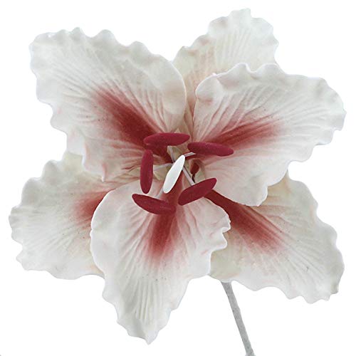 Global Sugar Art Rubrum Lily Sugar Cake Flowers, White with Red,9 Count by Chef Alan Tetreault