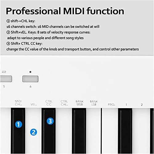 WKLIANGYUANPING Clavier de Piano 37 Keys multifonisation Midi Piano électronique Portable Clavier - Les Beatles, Paul McCartney, John Lennon, RIngo Starr, George Harrison WKLIANGYUANPING Clavier de Piano 37 Keys multifonisation Midi Piano électronique Portable Clavier – Image 7