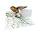 Amazing Birds - 3D Pop Up Greeting Card For All Occasions - Love, Birthday, Christmas, Goodluck, Congrats, Get Well - Blank Inside for Personalized - Thick Envelope, Fold Flat (American Robin)