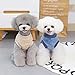 YAODHAOD Hundepullover, Hundekleidung, Plüsch, weich, dick, warm, für Winter, Hunde, Katzen, Aprikose (blau, S)