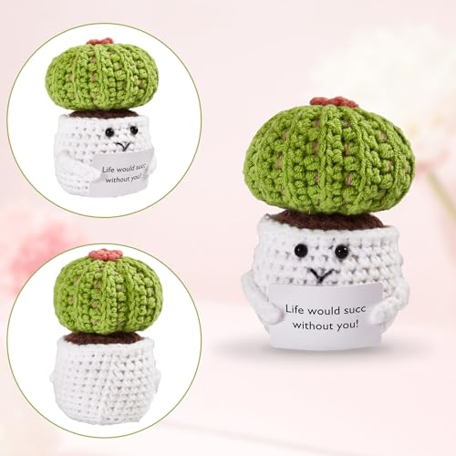 Image of Hoedia Handmade Emotional Pickle Gift, Emotional Cucumber Crochet Doll Inspirational Gifts with Cards, Cute Knitted Funny Support Pickle Potato Friend Birthday (Positive Cactus)