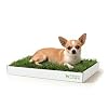 DoggieLawn Real Grass Puppy Pee Pads- 24 x 9 Inches - Perfect Indoor Litter Box for Dogs - No Mess, Easy-to-Use - Potty Training for Pets - Eco-Friendly Disposable Bathroom with Real Living Grass