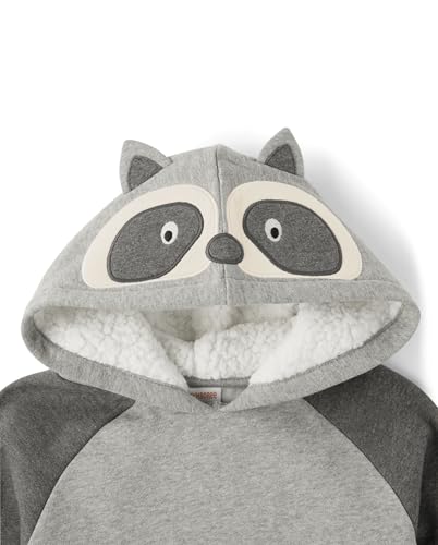 Image of Gymboree Boys' And Toddler Boys Long Sleeve Hoodie Sweatshirt