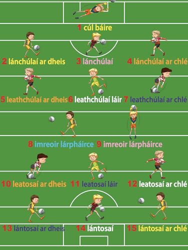 Poster en PVC indéchirable pour positions terrain GAA Rockfield