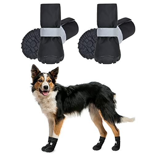 Best Anti Slip Paw Protection for Dogs StylesDaddy