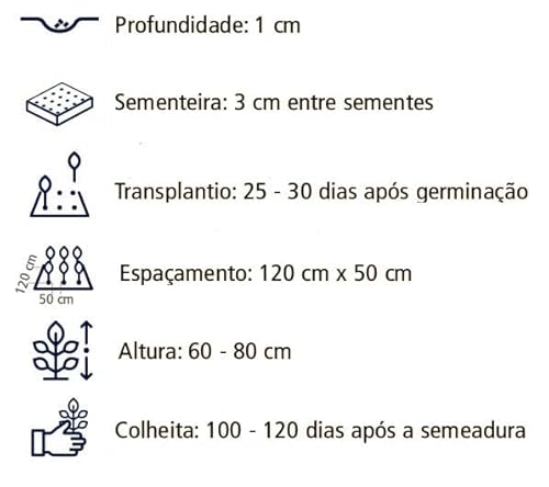 Sementes de Pimenta Biquinho Vermelha 2,5 Gr