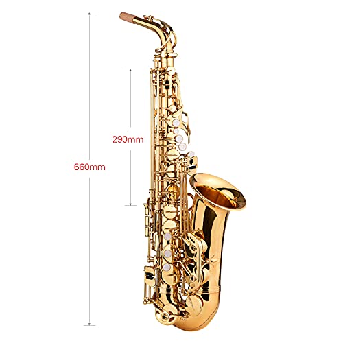 E Flat Alto Saxophone Eb Key Brass Gold Lacquer With Hard Case Cleaning Brush Cleaning Cloth Wind Accessories #TOP1