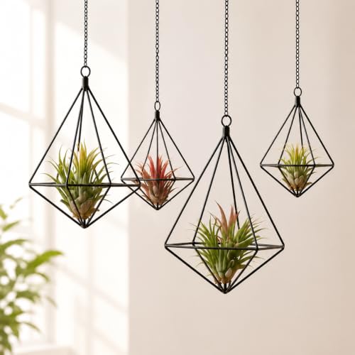 Black Geometric Himmeli Air Plant Holders Set of 4, Metal Tillandsia Hanging Planters with Chains and Hooks, 2 Sizes Diamond Plant Hangers for Window Wall Ceiling Decor, Boho Indoor Home Decor