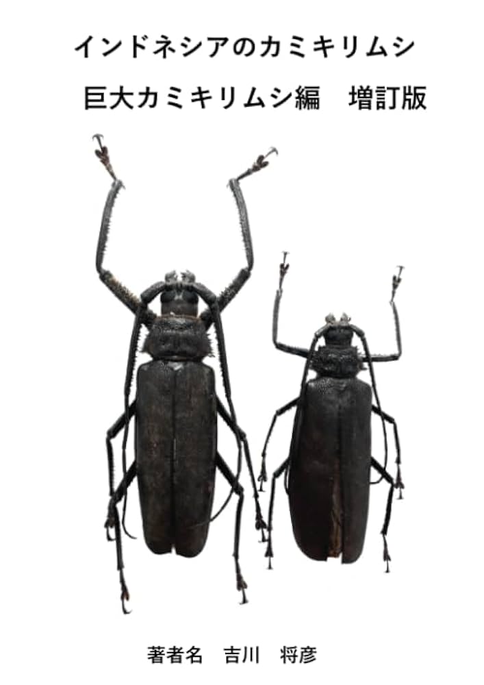 アマゾンのカミキリ　I.IIセット　大型本 アマゾンのカミキリ I.IIセット 大型本