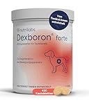 NutriLabs Dexboron® forte Hunde Kautabletten 450 STK. - Tabletten mit Teufelskralle für Hunde - Hunde Regenerationsmittel mit Weidenrinde, Weihrauchextrakt u.v.m. - Hunde Regenerationsmittel