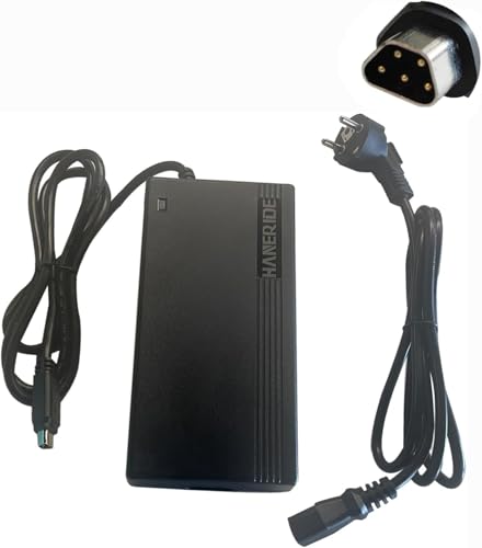 Fischer Ebike Ladegerät Ladegerät 2A 42V Für 36V Phylion Akkus - E-Bike Fischer ETD/ETH 1401, SVD 5 Pin E Bike Akku Zellen