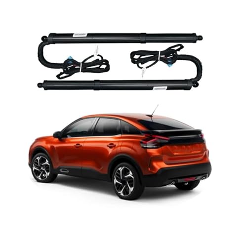 Couvercle de porte arrière Citroen C4 hayon électrique - 2