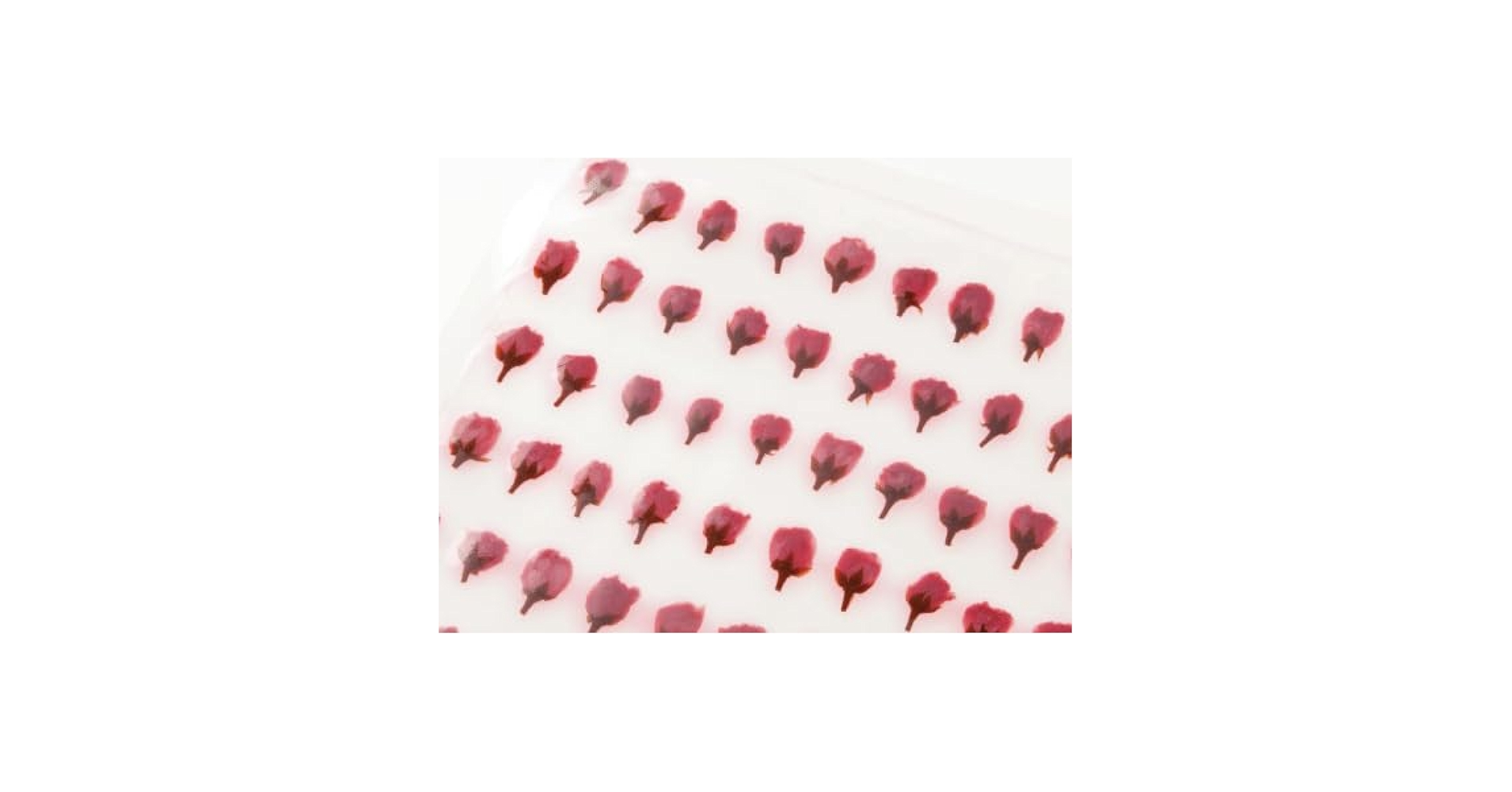 2尺中継ぎ桜巻き 413QOu8MW8L.jpg_BO30,255,255,