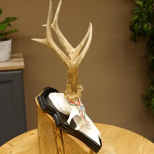 GTK - Geweihe & Trophäen KRUMHOLZ Rehgeweih HL bis 23,2 cm Gewicht 310 g cm Rehbock Bock Reh Geweih Gehörn Trophäenschild