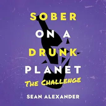 Sober on a Drunk Planet: The Challenge: A 31-Day Guided Sobriety ...
