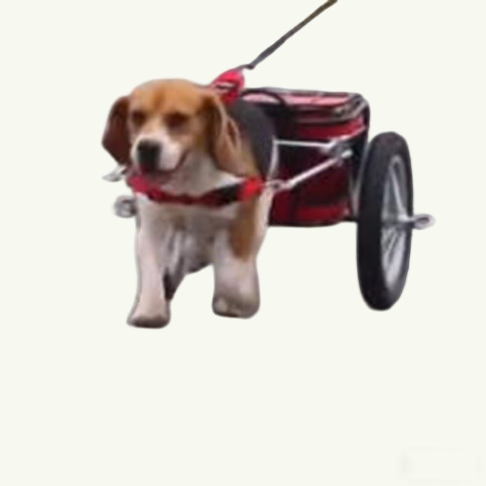 Dog Traction Harness for Pulling Cart, Adjustable Dog Cart Harness with Stainless Steel Pull Rods, Quick Release Buckle, Working Dog Harness for Yard Work, Camping, Groceries(M)