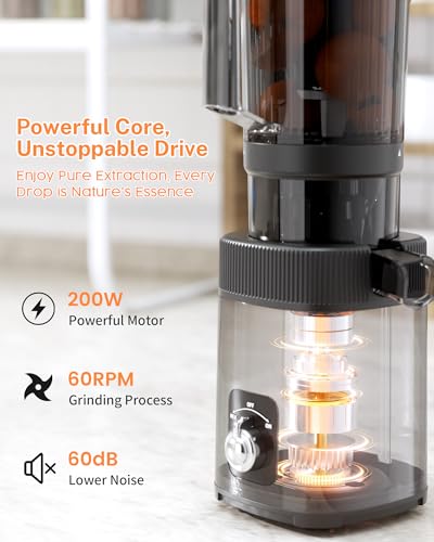 Image of Kndko Cold Press Juicer with 4.35 inch Wide Feed Chute, Slow Masticating Machine Fit Whole Fruits & Vegetables, High Juice Yield, Stainless Steel Juicer Machine with Large Auger, Easy to Clean