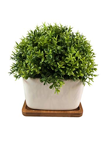 Peach Tree Farm Fake Plant for Bathroom/Home Decor, Small Artificial Faux Greenery for House Decorations (Potted Plants) (Clover with Tray)